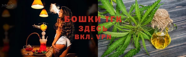 сатива Баксан