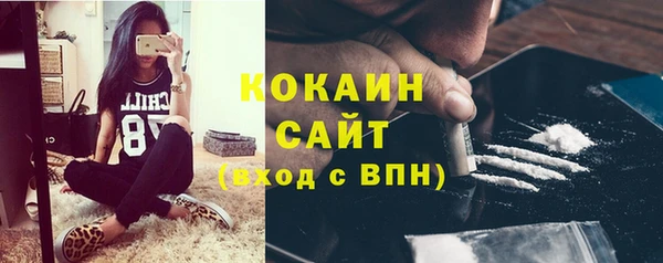 сатива Баксан