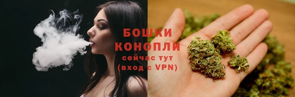сатива Баксан