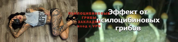 сатива Баксан