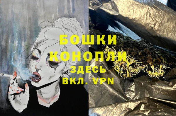 сатива Баксан